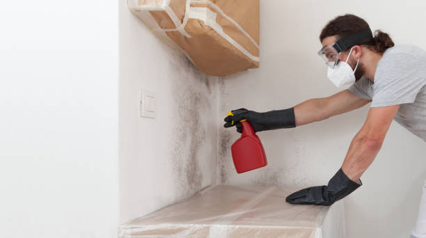 Professional Bathroom Mold Removal technician working in Brentwood, NY